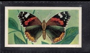 RED ADMIRAL - 60 + year old English Trade Card # 6