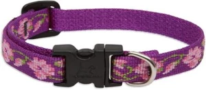 LupinePet Originals 1/2" Rose Garden 8-12" Adjustable Collar for Small Dogs - Picture 1 of 1