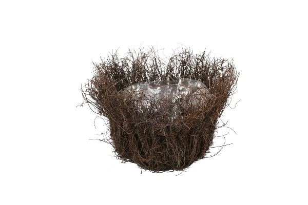 NaDeco Pflanzschale Mühlenbeckia / Weide  Ø 14cm H. 10cm, Blumentopf Pflanztopf  - Bild 1 von 1