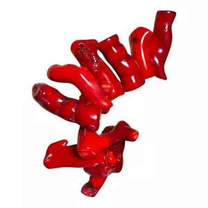 Large Red Dyed Bamboo Coral Irregular Branch Stick Beads Jewelry Making 11pc - Picture 1 of 3