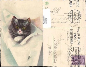 536692,Tiere Künstler AK Katze  - Picture 1 of 1