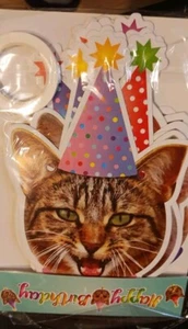 Cat Birthday Party Supplies 111 PIECES!Banner/Hanging Decorations/Treat Bags/Etc - Picture 1 of 10
