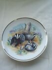  Vintage Decorative Plate Wildlife Of Britain Badgers   *134
