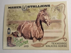 2019 Mares & Stallions Tennessee Walking Horse Topps Card #MS-4 Allen & Ginter - Picture 1 of 3