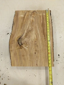 Italian Olive Wood Live Edge Mini Slab - 2"+ THICK Pen Knife Bowl Turning Blanks - Picture 1 of 5