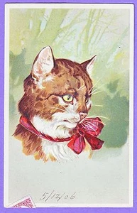 ANIMAL CAT THEO STROEFER ARTISTA POSTAL FIRMADA - Imagen 1 de 1