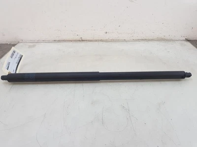 GASDRUCKFEDER RECHTS HINTEN Tesla Model S Liftback 85 (L1S) 2014 600661100B — 第 1/4 张图片