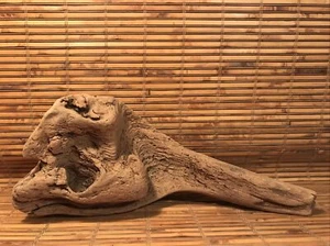Beautiful 12" Driftwood Piece Terrarium Reptile Taxidermy Aquarium Beach Decor - Picture 1 of 11