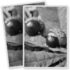2 x Vinyl Stickers 7x10cm - BW - Conker Horse Chestnut Tree  #38083