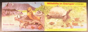 WILDLIFE IN DANGER BROOKE BOND PG TIPS TEA CARD VINTAGE ALBUM PETER SCOTT - Picture 1 of 10