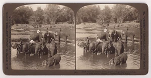 Ceylon - STEREO H.C. White Co - Kandy, éléphants - Vintage print 1907 - Picture 1 of 1