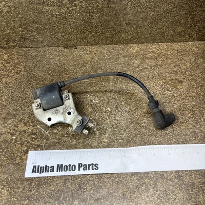 Bobina de encendido Yamaha DT250 77 con soporte de montaje 1977 Foto 1 de 4