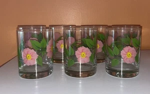 Set of 7 Vintage Franciscan Desert Rose Double Old Fashion Glasses Tumblers 1960 - Picture 1 of 3