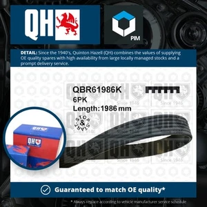6 Rib Multi V Drive Belt fits MERCEDES A200 W169 2.0 04 to 12 QH 0029932396 New - Picture 1 of 2