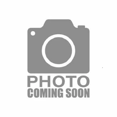 Pioneers (The Journey West), Yannick Oney - Image 1 of 1