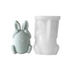Face-less Rabbit Mold Diy Cover Your Eyes Mouth and Ears Rabbit Mold