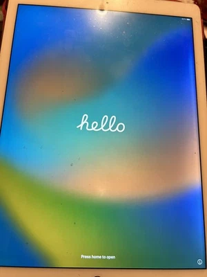 Apple iPad Pro 1st Gen. 32GB, Wi-Fi, 12.9 - Fully working  - Image 1 of 2