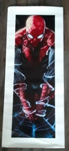 Marvel Spider-Man 5 Piece Cloth Wall Art Poster Unbranded see various sizes - Picture 1 of 5