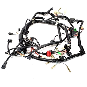 2013 to 2018 Suzuki Inazuma GW250, Wiring Harness, P/N 36610-48HJ2 - Picture 1 of 13