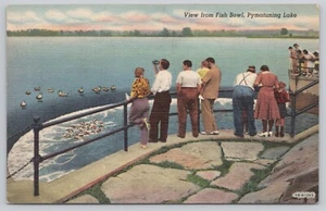 View From Fish Bowl Pymatuning Lake Pennsylvania Linen Postcard - Picture 1 of 2
