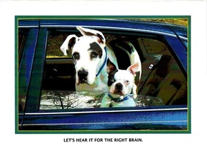 Lot of 12 Fine Art Dog Greeting Cards - Blank Inside with Envelopes - 5"x 7" - Picture 1 of 24