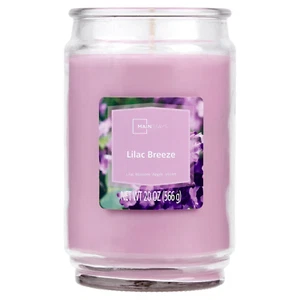 Lilac Breeze Scented Single-Wick Large Glass Jar Candle, 20 Oz, Perfect for any - Picture 1 of 11