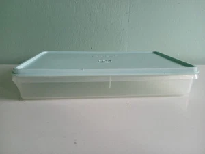 Vintage Tupperware Organizer rectangle container 11"X 2" 795-6 - Picture 1 of 7