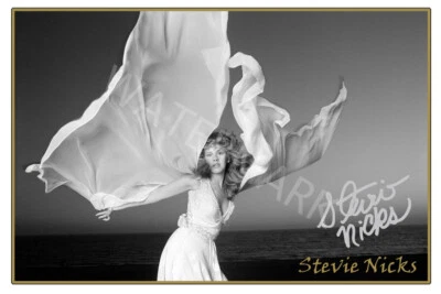 Stevie Nicks large signed 12x18 inch photograph poster - Top Quality  - Image 1 of 3