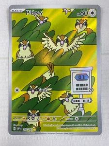 Pidgey IR 207/197 Illustration Rare Obsidian Flames - Pokemon TCG Card Holo NM - Picture 1 of 4