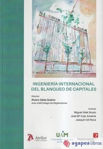 Ingeniería internacional del blanqueo de capitales. NUEVO. ENVÍO URGENTE - Imagen 1 de 1