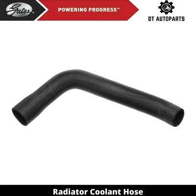 Manguera de refrigerante de radiador de gas L6 4,1 L 1975-1977 Chevrolet El Camino puertas superiores Foto 1 de 4