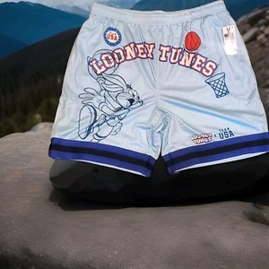 LOONEY TUNES X TEAM USA BASKETBALL MENS BASKETBALL MESH SHORTS SIZE L/G/G - Picture 1 of 8