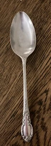 VTG Oneida 1881 Rogers ENCHANTMENT Stainless Steel 8-1/4” Serving Spoon GOOD - Picture 1 of 4