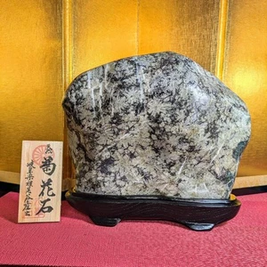 ko "SUISEKI" Viewing Stone 4.5kg Natural Stone Chrysanthemum Neo Valley - Imagen 1 de 24