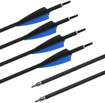 12x Carbonpfeile 30Zoll Bogenpfeile Spine 500 Recurve Compound Bogen Jagd Pfeile - Image 1 of 4