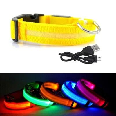LED Dog Pet Collar USB Rechargeable Flashing Luminous Safety Night Light Up UK