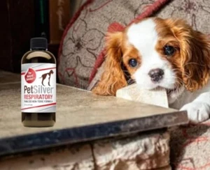 PetSilver Atemlösung mit Chelat-Silber für Katzen und Hunde, 16 Unzen - Bild 1 von 3