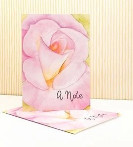 Pink Rose Closeup, Notecards, Pack of 5 Folded Fine Art Notecards with Envelopes - Picture 1 of 3