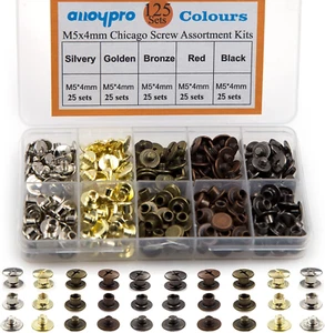 125 Sets Chicago Screws Assorted Kit 5 Color Leather Rivets Screw Rivets Flat Fi - Picture 1 of 7