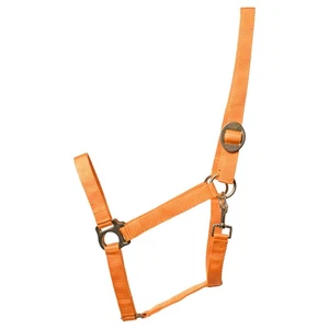 Eldorado Pferde-Halfter Standard - Arancione - Pony Führhalfter Cavezza IN - Foto 1 di 1