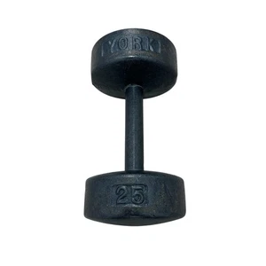 York Roundhead Dumbbell Single Weight 25lb Cast Iron - Picture 1 of 11