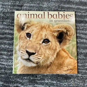Animal Babies in Grasslands 9780328191611 Picture Book Habitats Savanna Animals - Picture 1 of 8