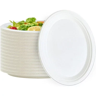 Super Rigid Strong Bagasse Disposable Party Paper Round Plates Compostable 7"/9" - Image 1 of 4