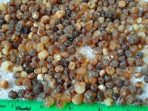 Misbah Bernstein Perlen Kugel Tropfen Baltische Steine Mosaik Anhänger 100g Halskette - Bild 1 von 8
