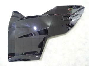 Seiten deckel Tür Verkleidung Abdeckung Door Panel OEM Polaris 1000 General 2019 - Bild 1 von 5