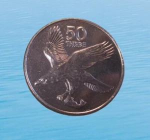 BOTSUANA 50 TEBE 1991 ÁGUILA PESCADORA AFRICANA SIN CIRCULAR KM 7a #5891# - Imagen 1 de 2