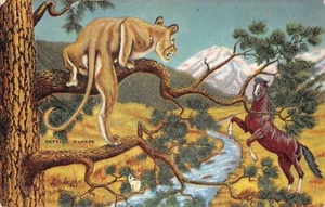 # K107 DUDE LARSON POSTAL, "DESAFIANDO EL PELIGRO" NO. 50 - Imagen 1 de 2