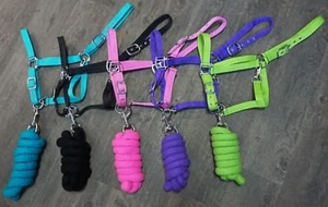 Showman Full Horse Size 2 Ply Nylon Halter with 7ft Braided Cotton Lead Rope - Picture 1 of 8