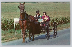 Tarjeta postal de Mike Dussinger de caballo y buggy de la familia Amish Lancaster County PA - Imagen 1 de 2