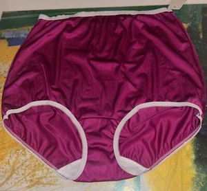 Vintage Lorraine Panties  XL  Nylon   1960s - Picture 1 of 9